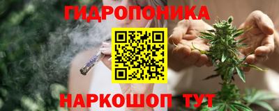 амф Сланцы